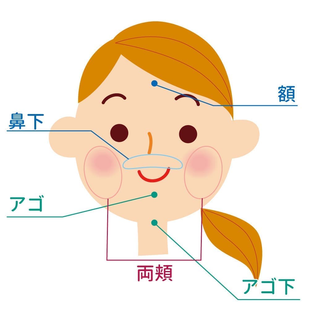 女性顔の脱毛図